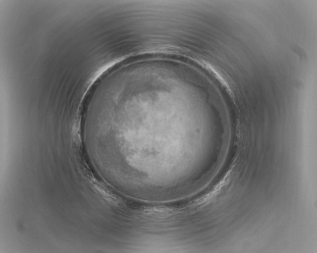 X0000116300830200911301440