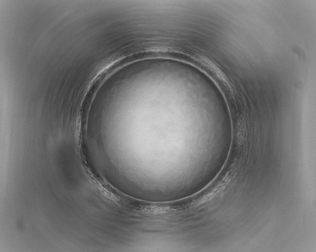 X0000116300831200911301440