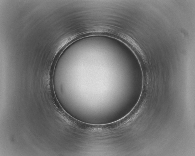 X0000116300834200911301440