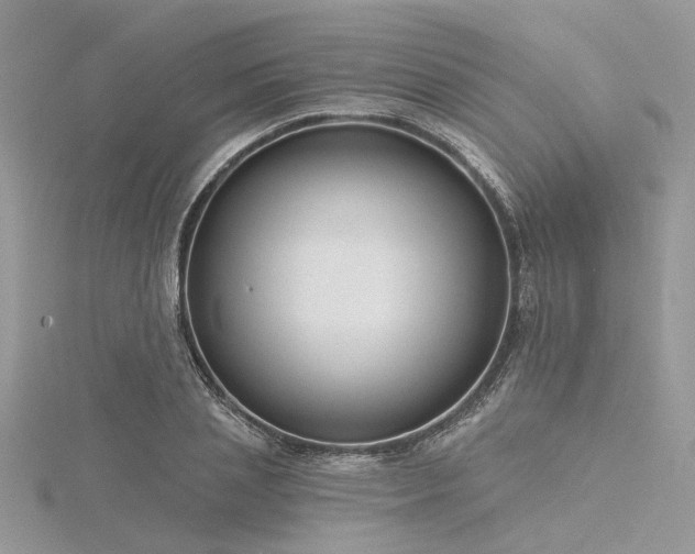 X0000116300837200911301440