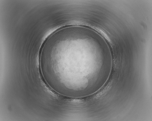 X0000116300839200911301440