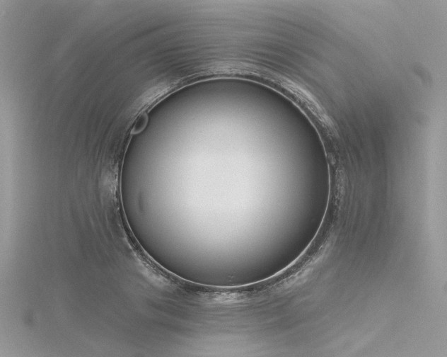 X0000116300841200911301440