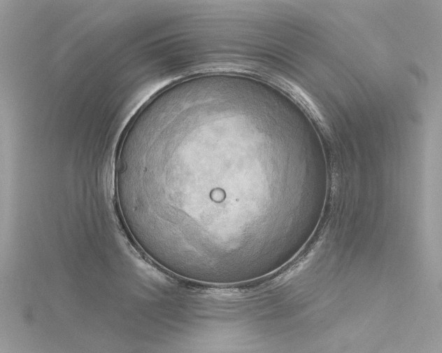 X0000116300844200911301440