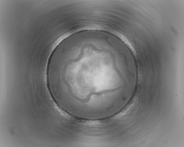 X0000116300845200911301440