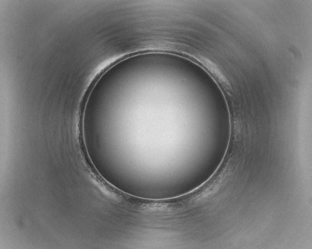 X0000116300846200911301440