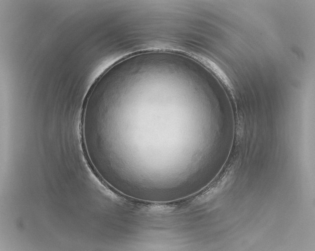 X0000116300847200911301440