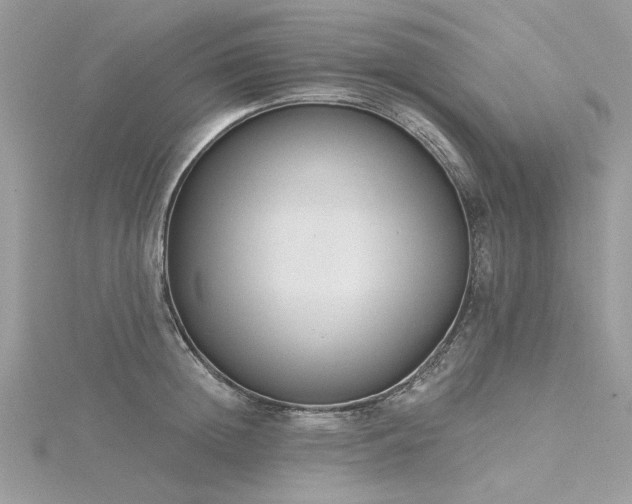 X0000116300852200911301440