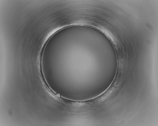 X0000116300854200911301440