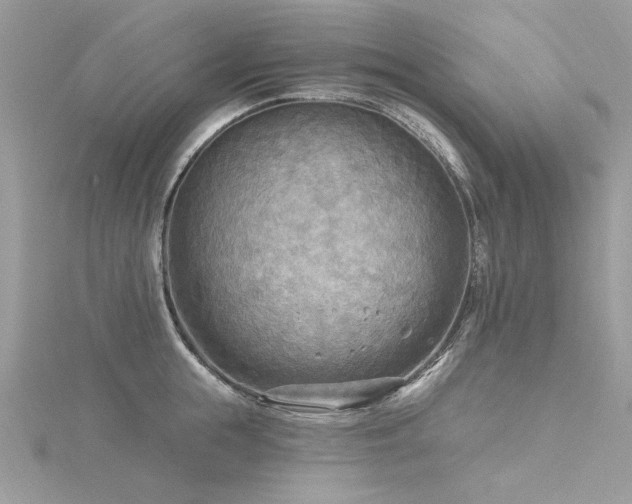 X0000116300855200911301440