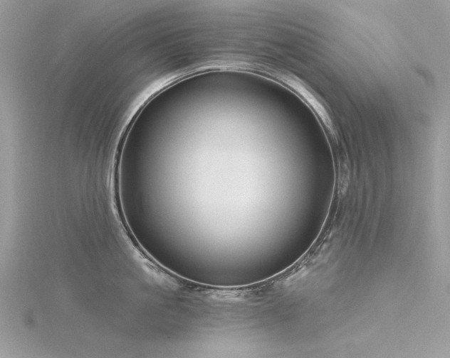 X0000116300861200911301440