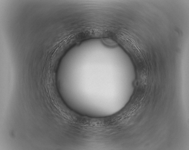 X0000116300865200911301440