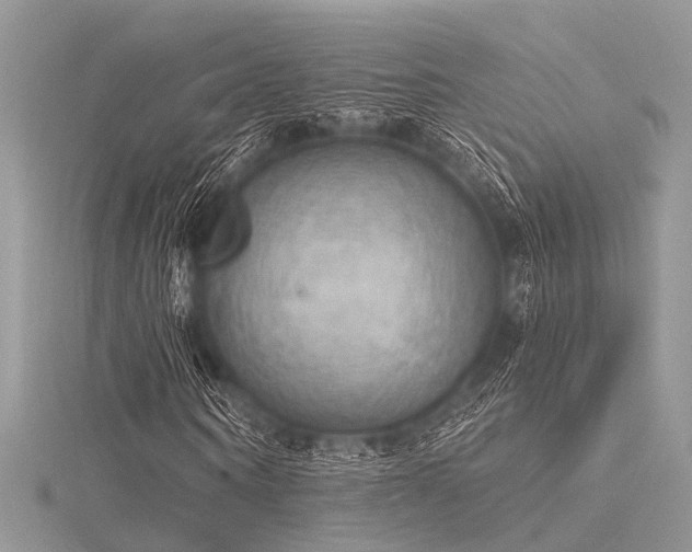 X0000116300866200911301440