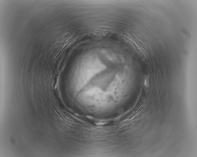 X0000116300867200911301440