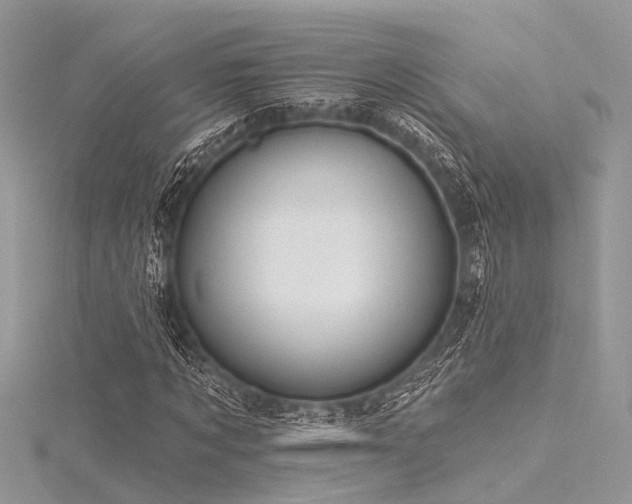 X0000116300869200911301440