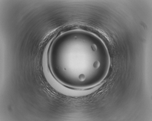 X0000116300872200911301440