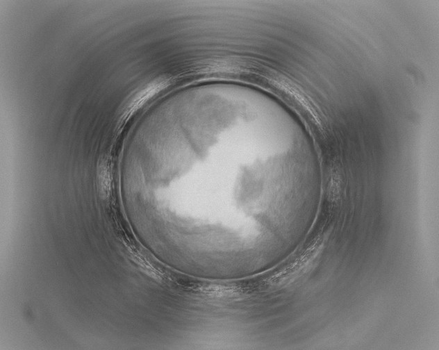 X0000116300874200911301440