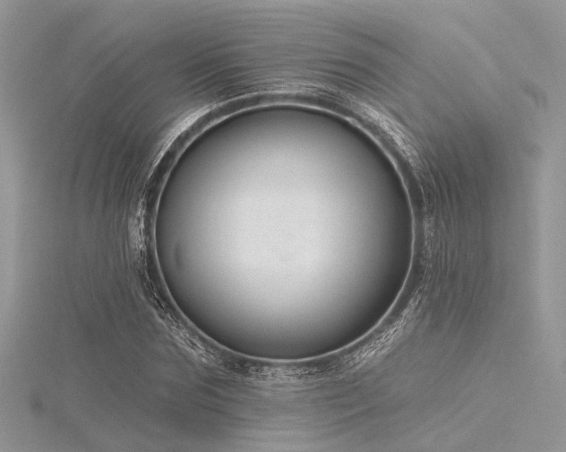 X0000116300875200911301440