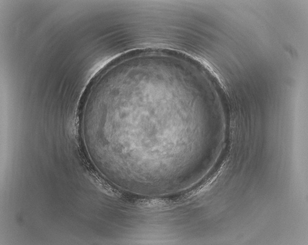 X0000116300879200911301440