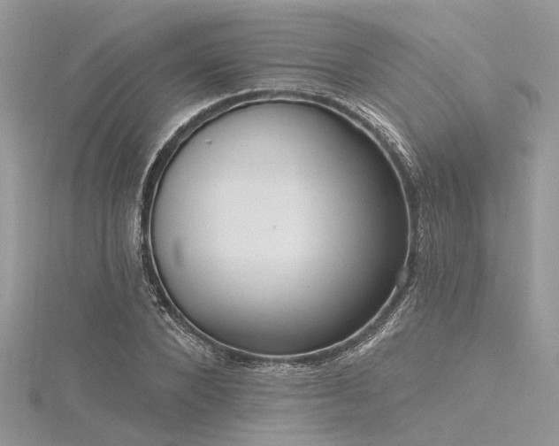 X0000116300880200911301440