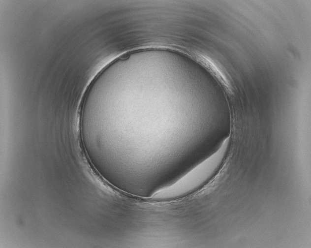 X0000116300900200911301439