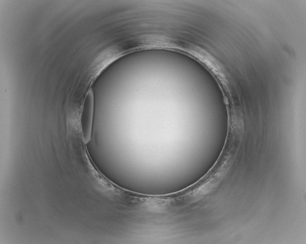 X0000116300905200911301439