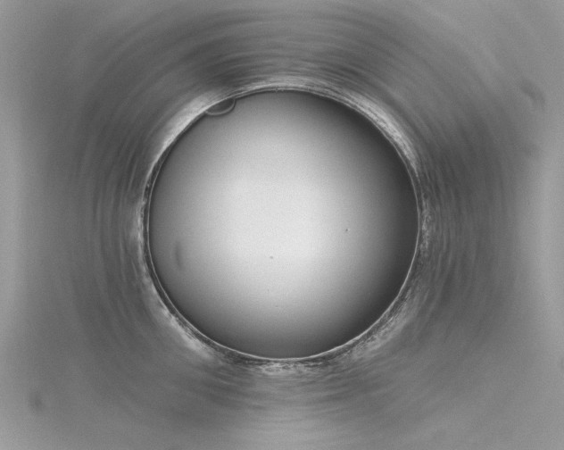X0000116300906200911301439