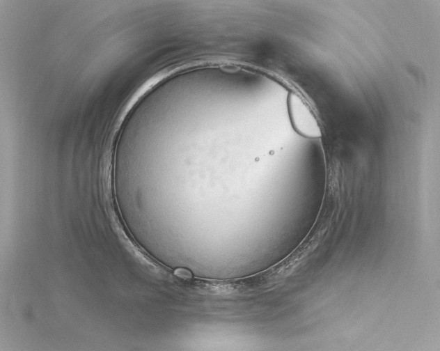 X0000116300911200911301439