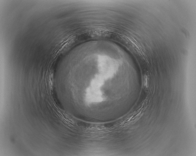 X0000116300915200911301439