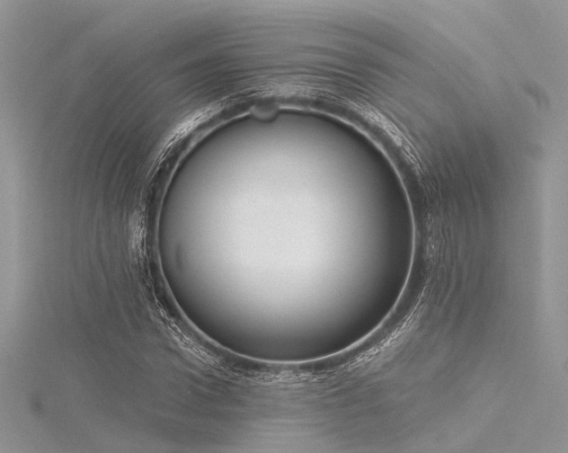 X0000116300922200911301439
