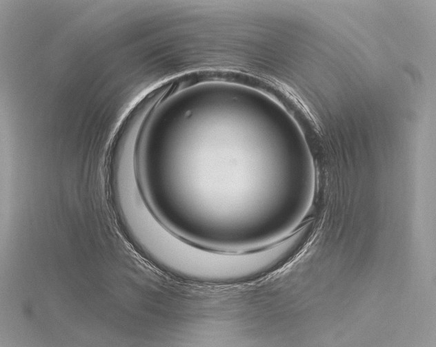 X0000116300926200911301439