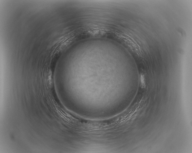 X0000116300963200911301438