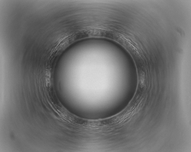 X0000116300964200911301438