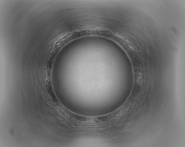 X0000116300966200911301438