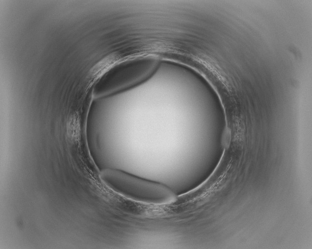 X0000116300969200911301438