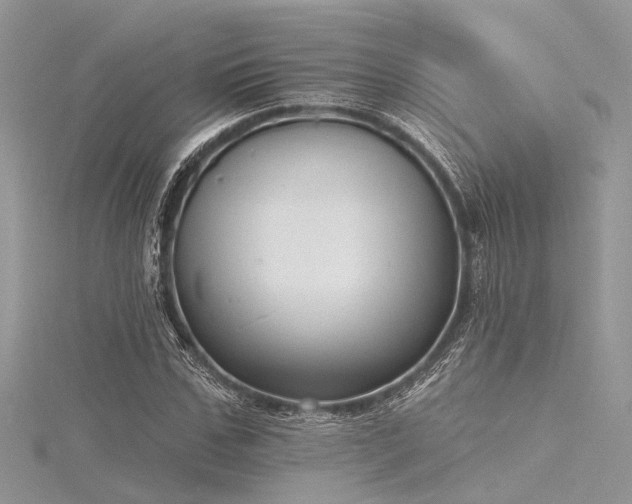 X0000116300971200911301438