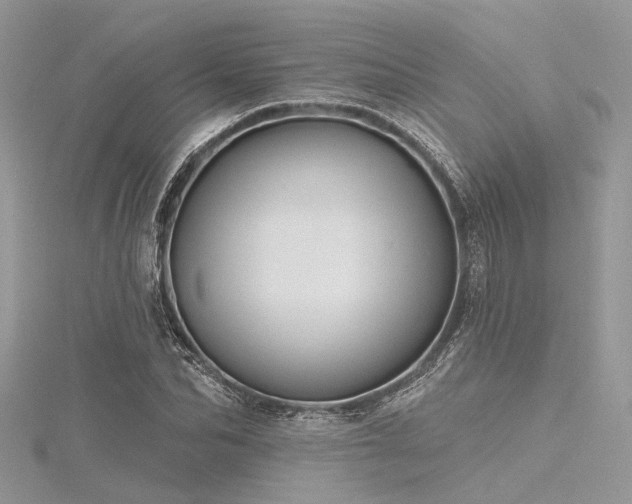 X0000116300974200911301438