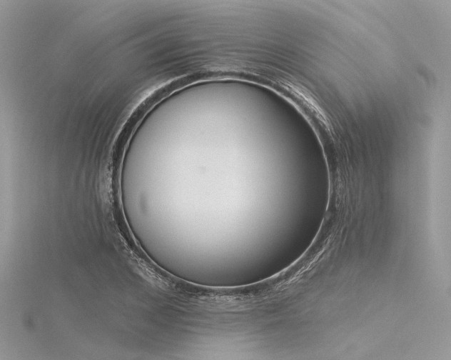 X0000116300976200911301438