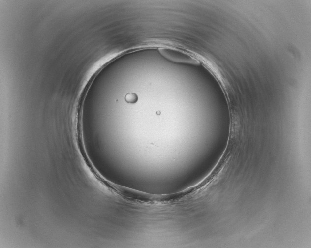 X0000116301003200911301438