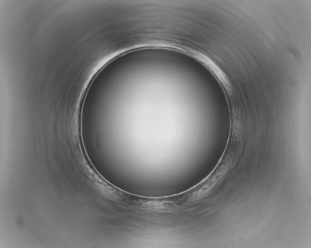 X0000116301004200911301438