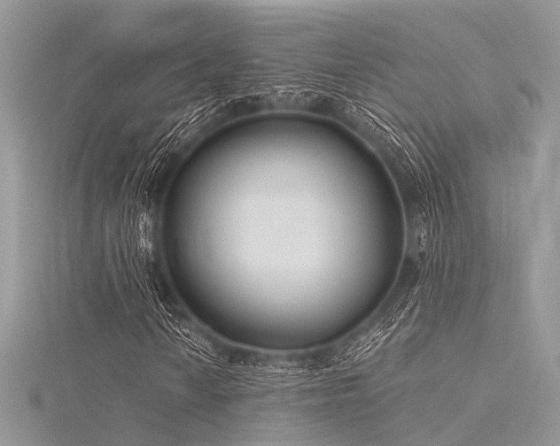X0000116301010200911301437