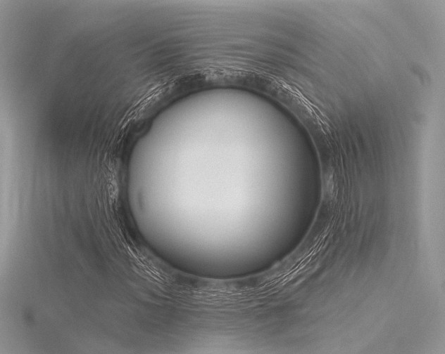 X0000116301012200911301437