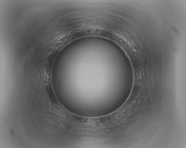 X0000116301013200911301437