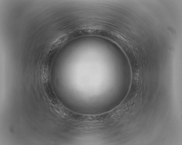 X0000116301014200911301437