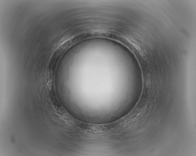 X0000116301015200911301437