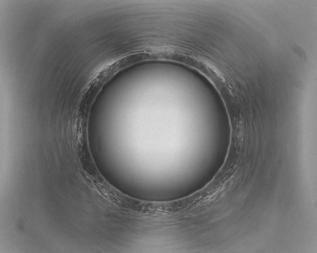 X0000116301016200911301437