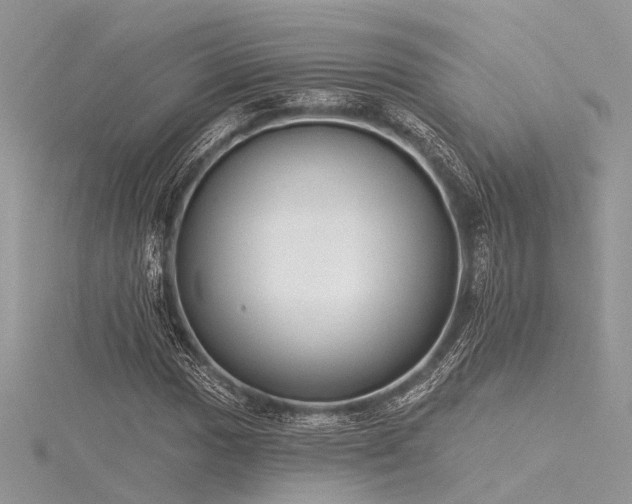 X0000116301017200911301437