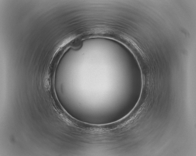 X0000116301018200911301437