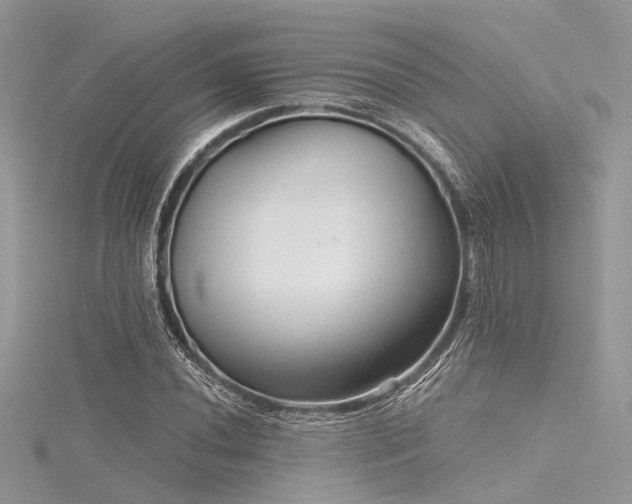 X0000116301020200911301437