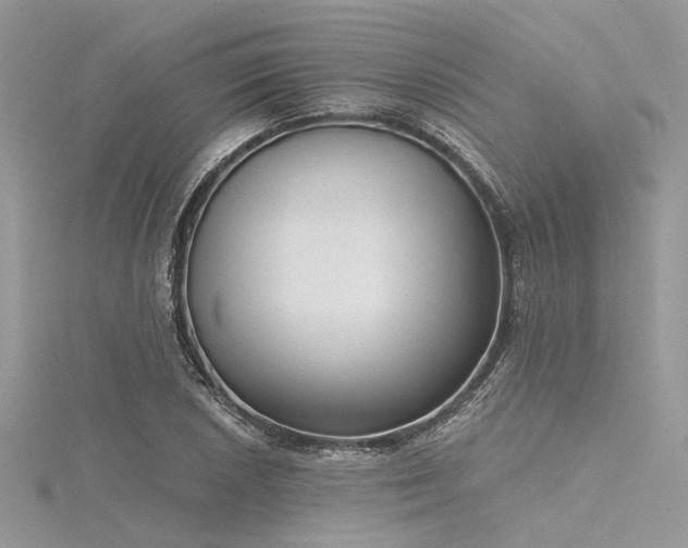 X0000116301026200911301437