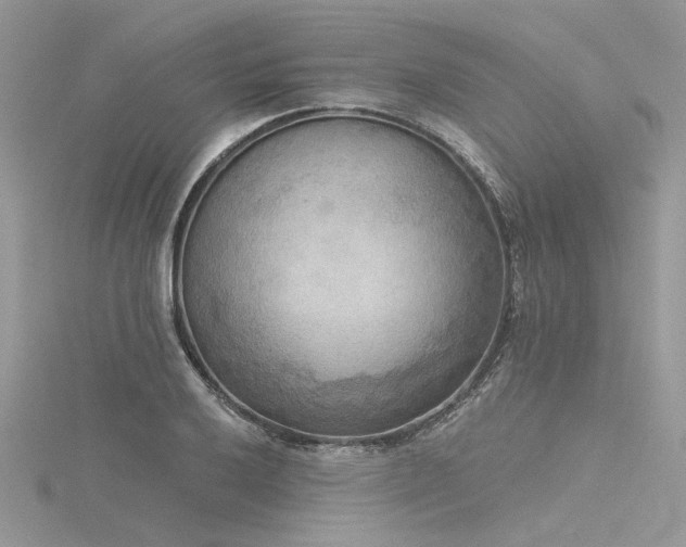 X0000116301032200911301438